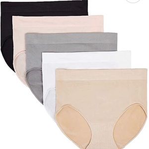 Carole Hochman Ladies' Seamless Brief, 5-Pack